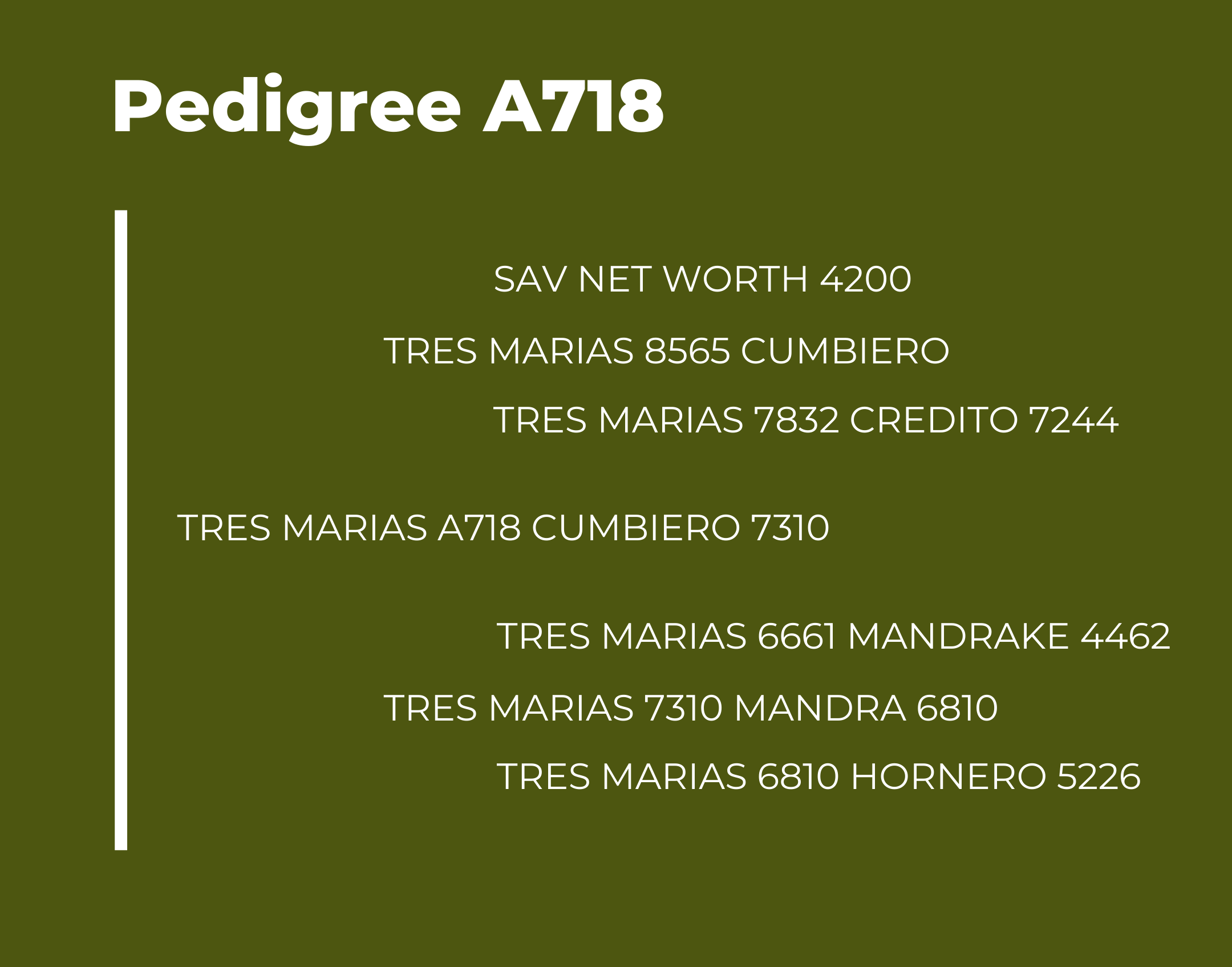 Pedigree A718