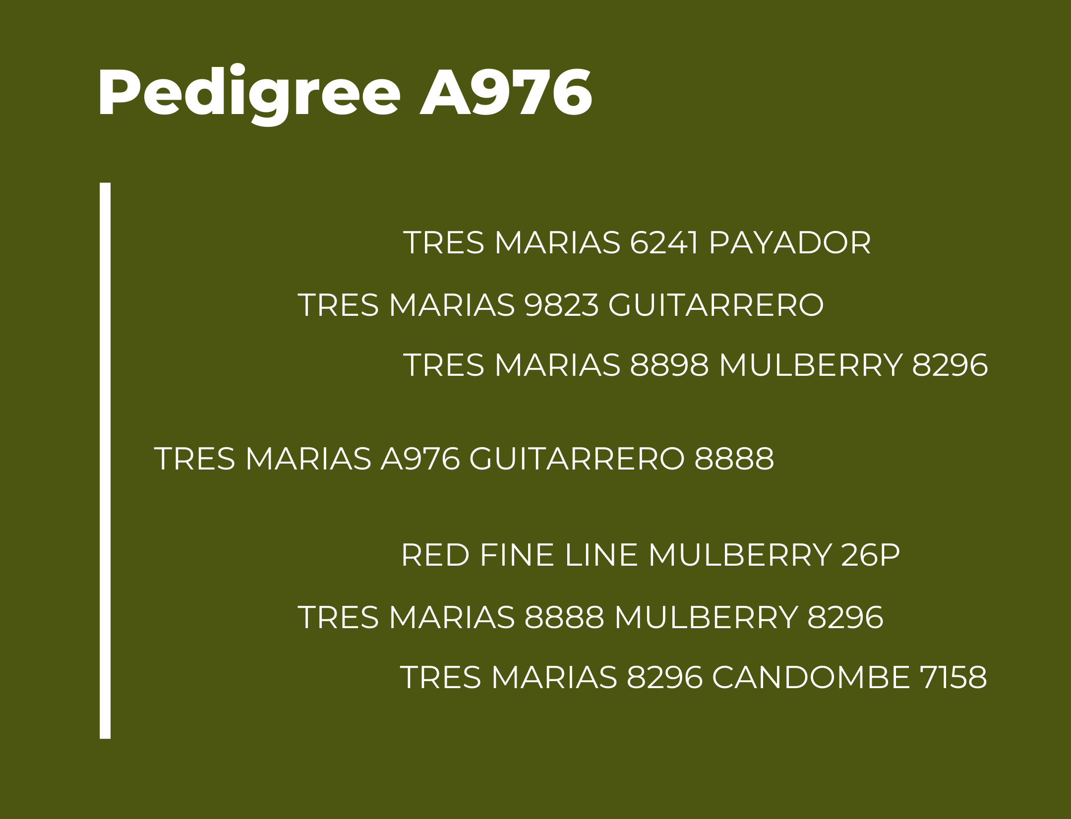 TM A976