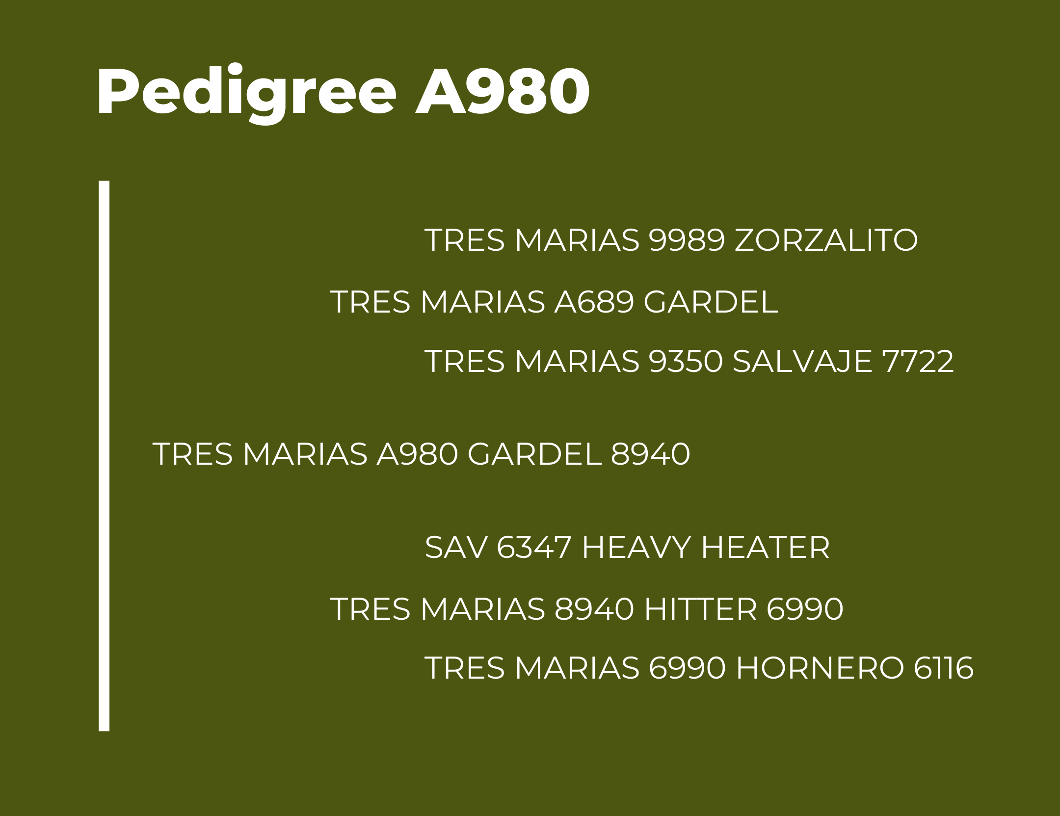 Pedigree Tres Marias A980