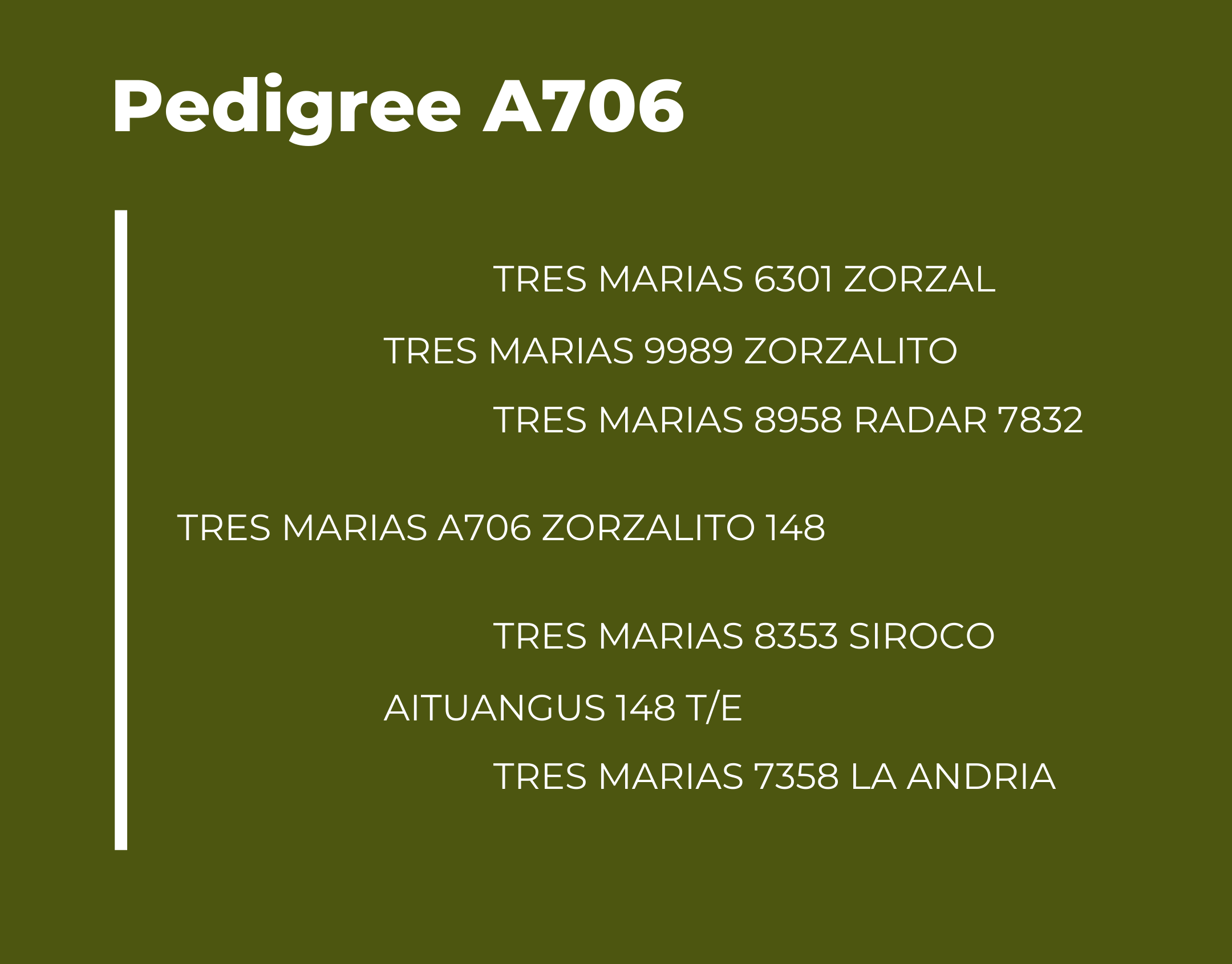 Pedigree A706