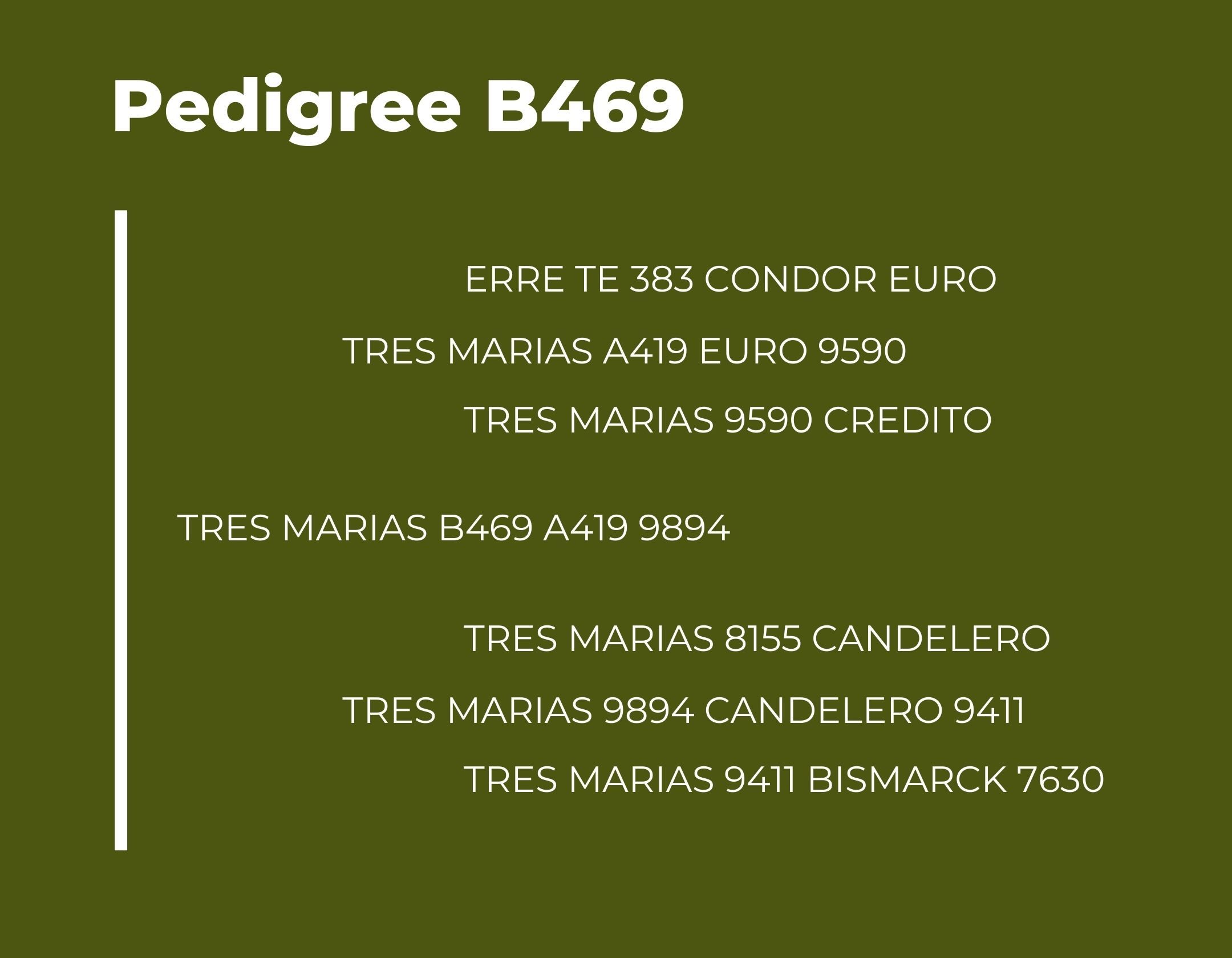 Catalogo Tres Marias Pedigree B469 ok