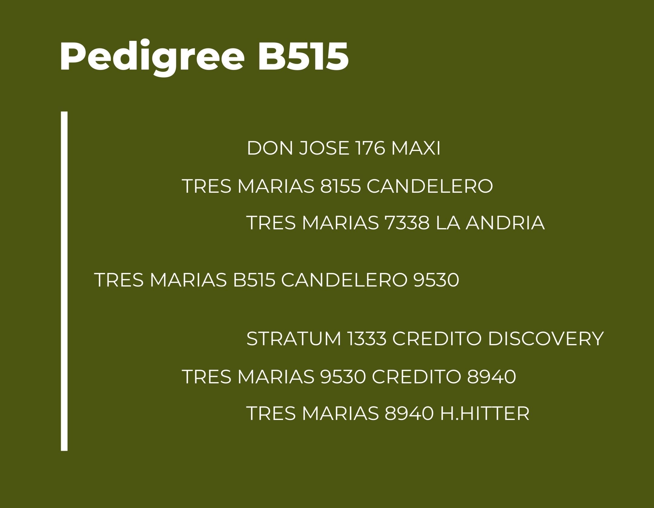 Catalogo Tres Marias Pedigree B515