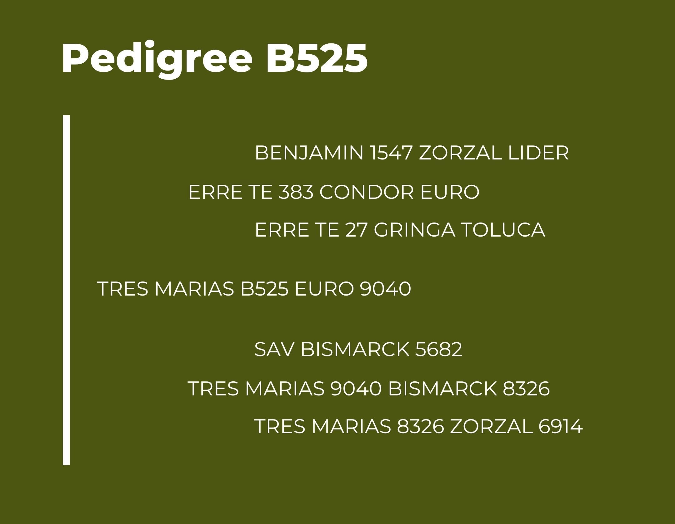 Catalogo Tres Marias Pedigree B525