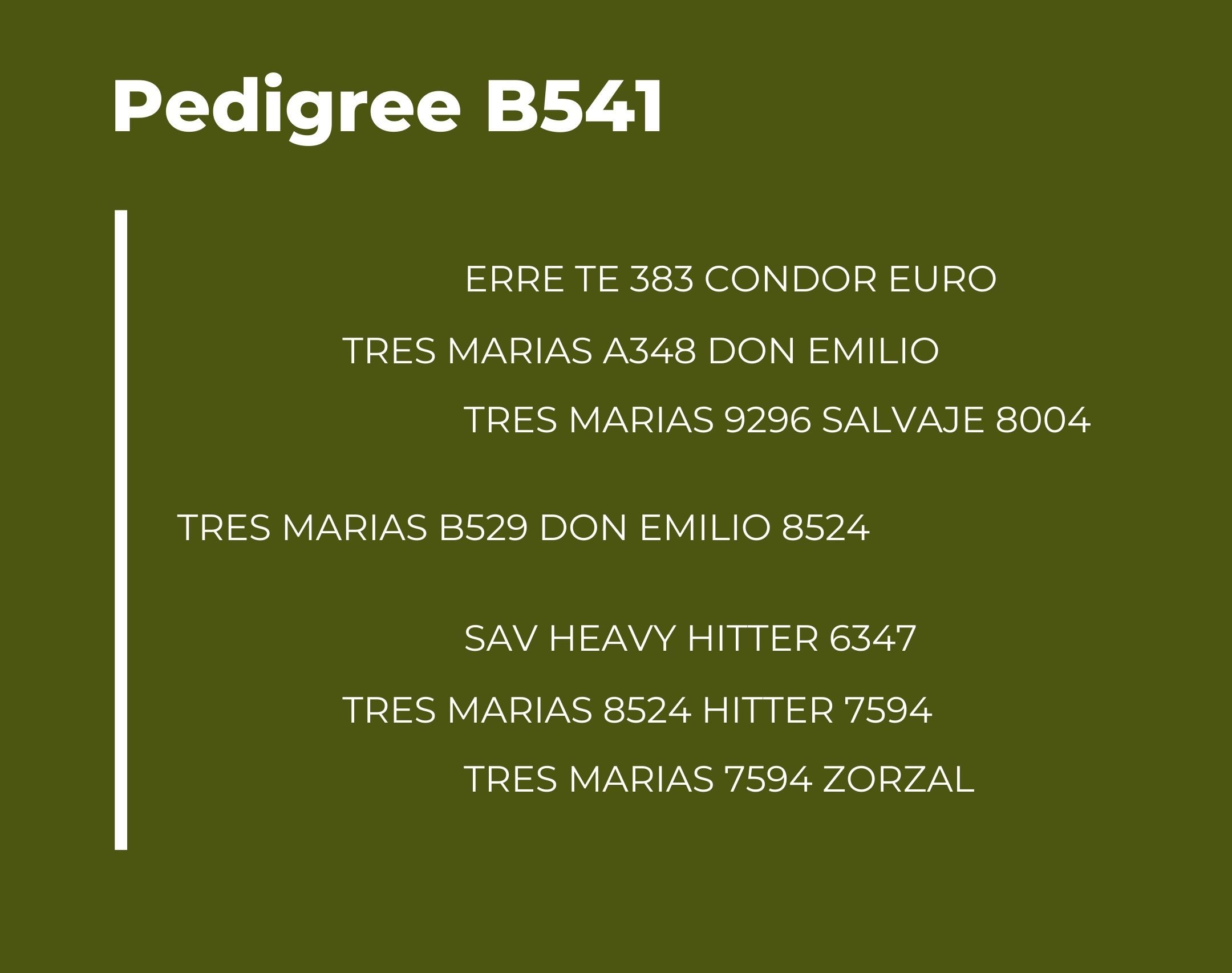 Catalogo Tres Marias Pedigree B541
