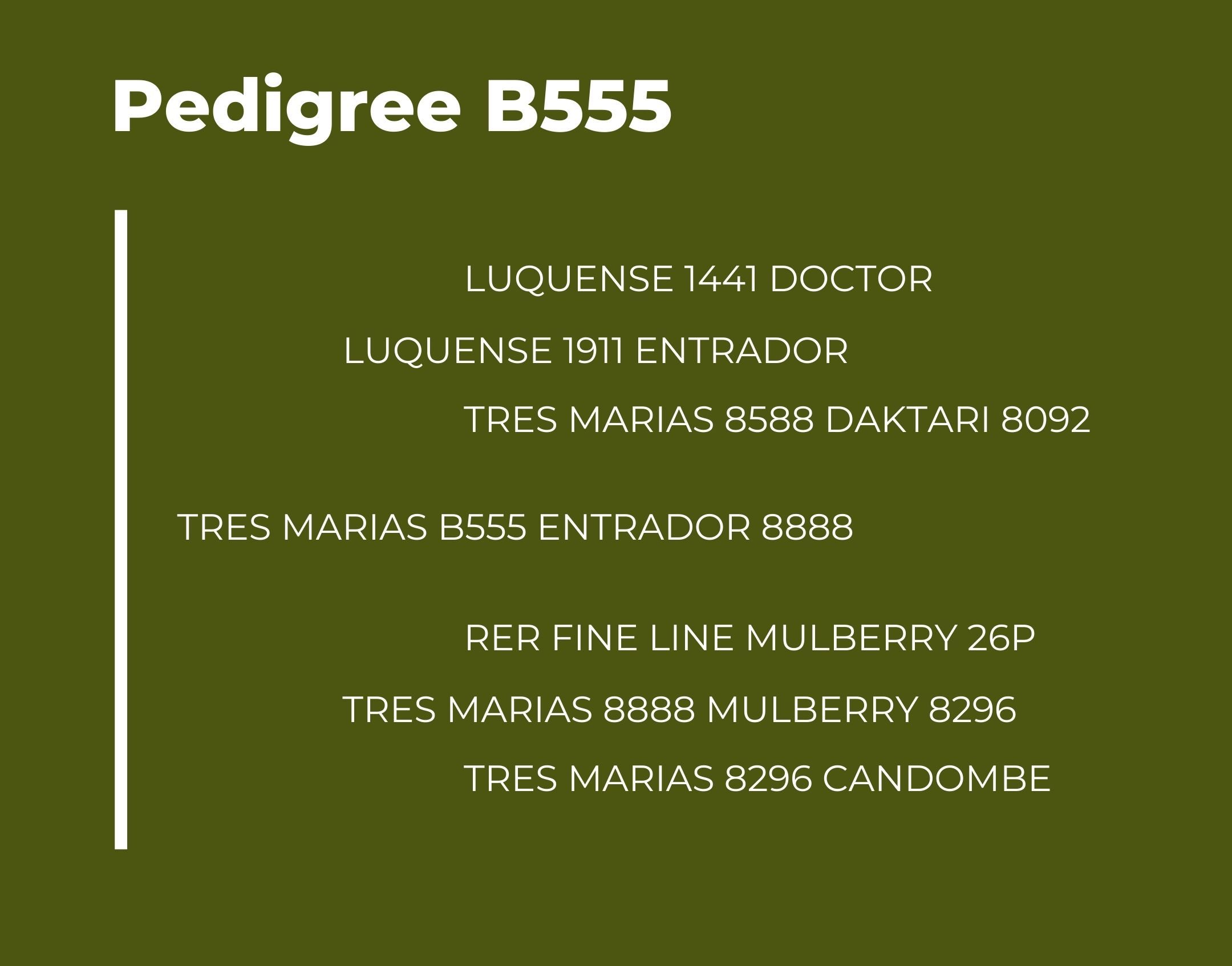 Catalogo Tres Marias Pedigree B555