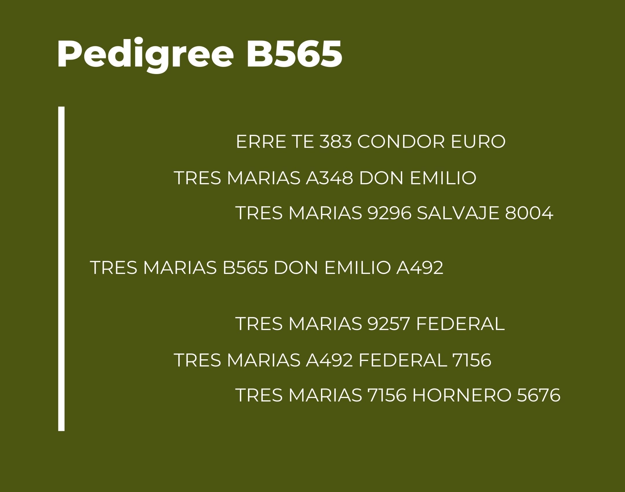 Catalogo Tres Marias Pedigree B565