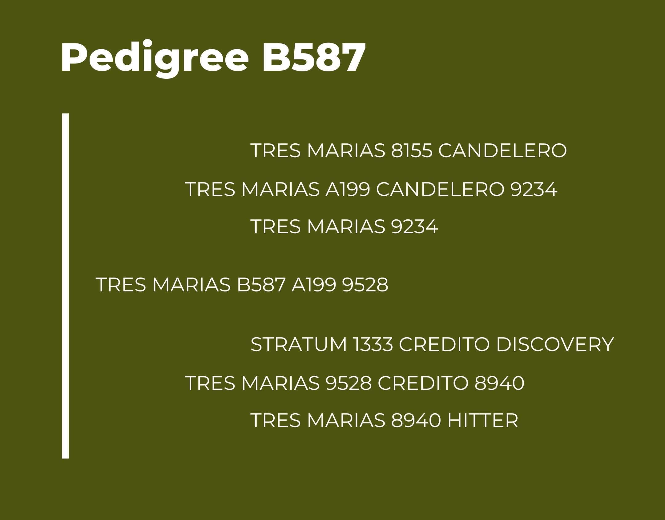 Catalogo Tres Marias Pedigree B587
