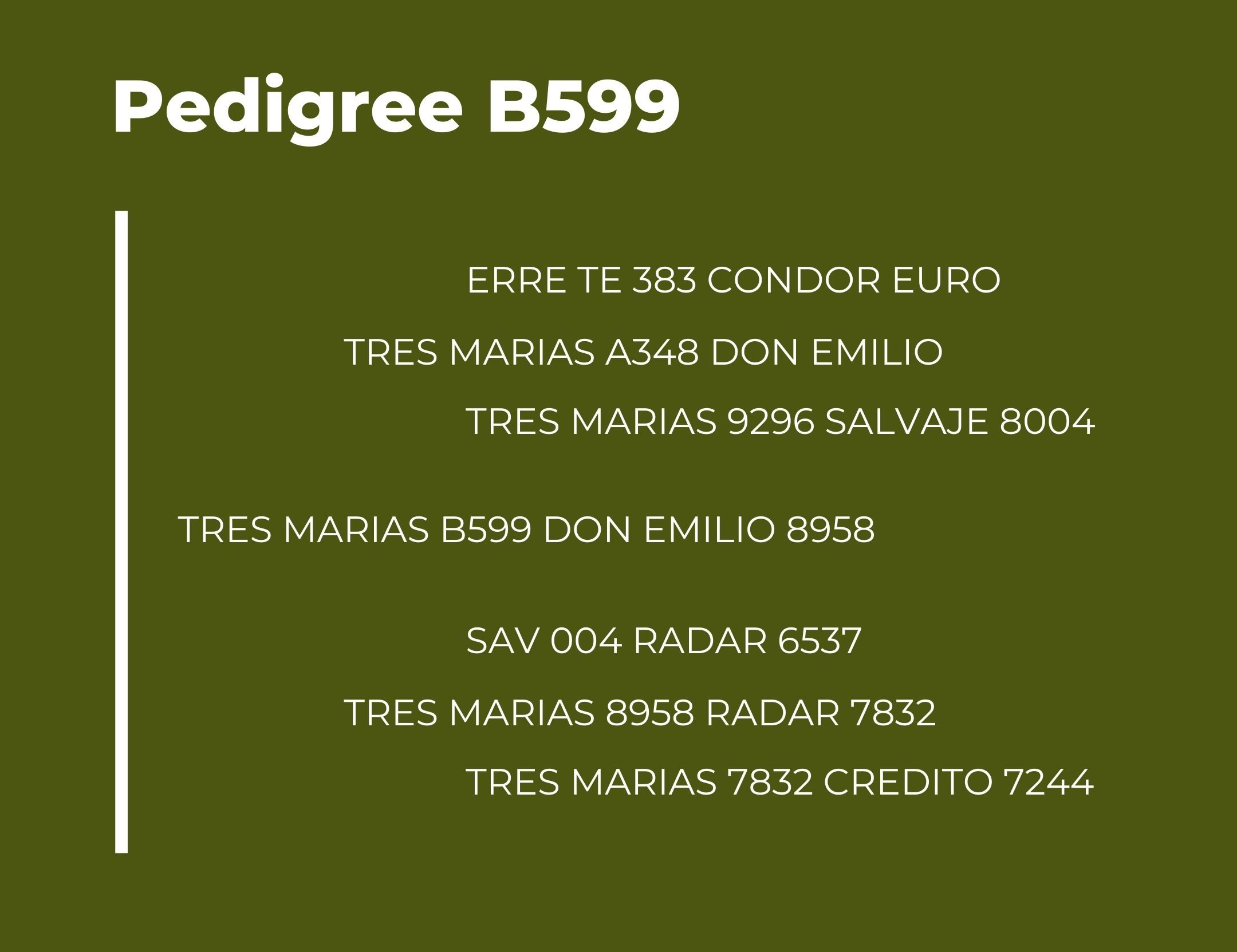 Catalogo Tres Marias Pedigree B599