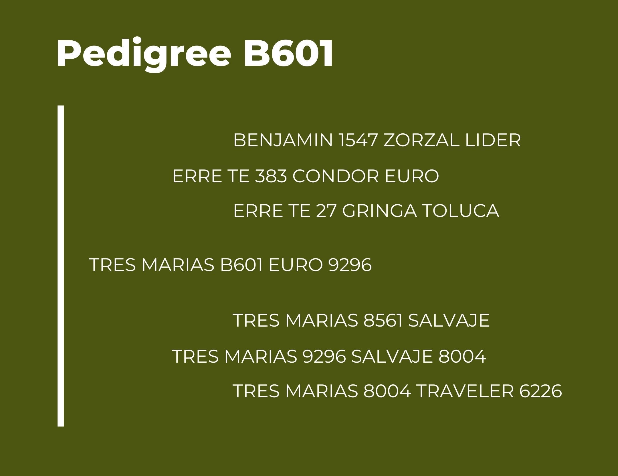 Catalogo Tres Marias Pedigree B601