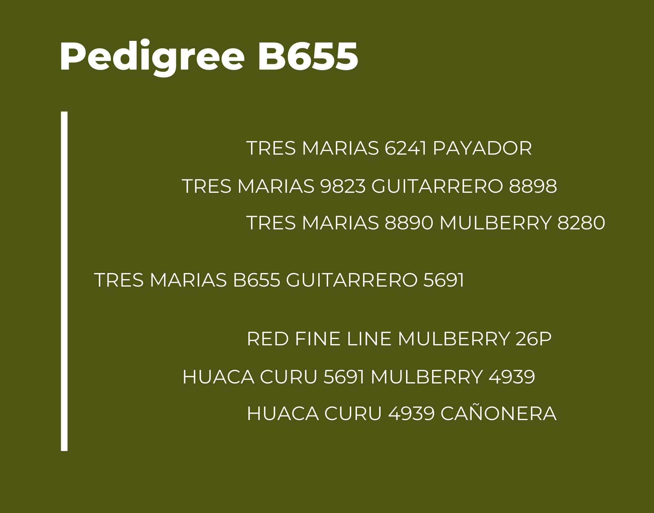 Catalogo Tres Marias Pedigree B655