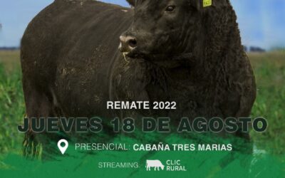Remate Tres Marias 2022- Abiertas las preofertas